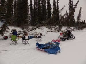 picknick hundeschlittenfahrt im yukon