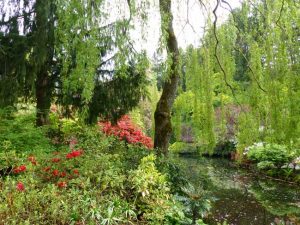 buchart gardens victoria teich mit pflanzen