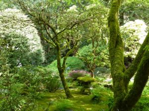 buchart gardens victoria japanischer garten