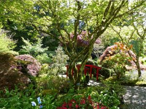 buchart gardens victoria japanischer garten